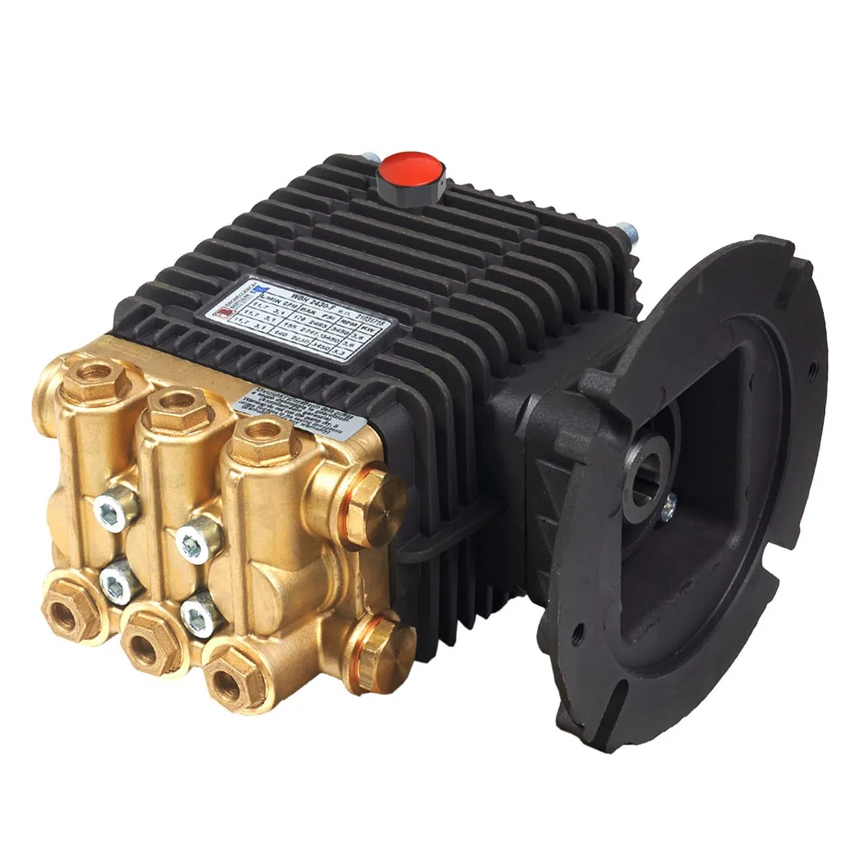Bertolini WBH 2430-F: 2400 psi @ 3.1 US gpm, bomba de lavado a presión de eje de 5/8 pulgadas